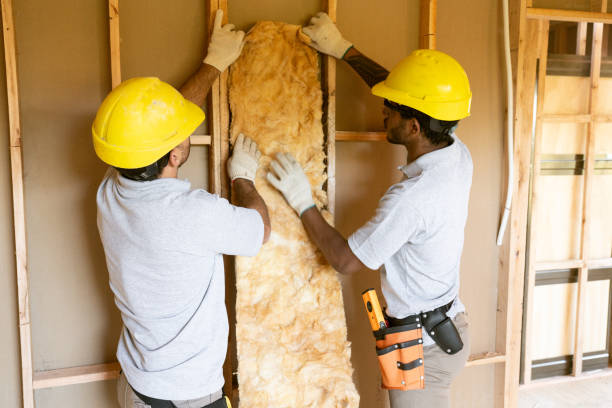 Best Insulation Replacement  in Melbourne, FL